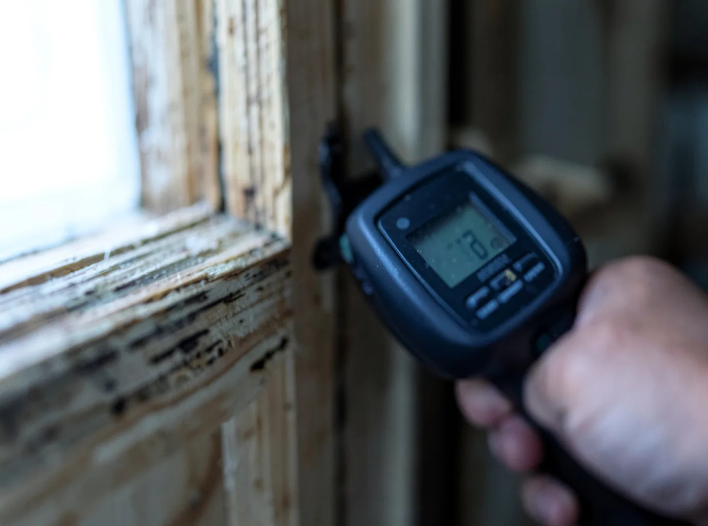 Moisture Inspection And Documentation in Bryce, UT